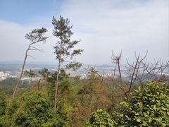 -白云山风景名胜区