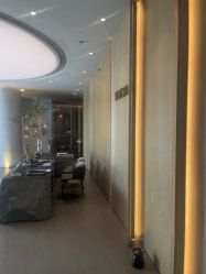 -VELEE·SPA高定疗愈会所