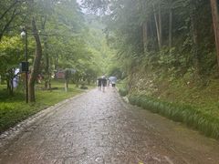 -灵栖洞天