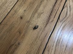 -上海怡沁园度假酒店