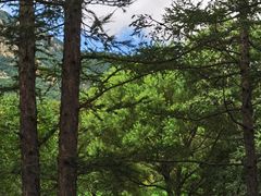 -白草畔自然风景区