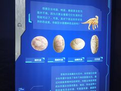 景点-广东省博物馆