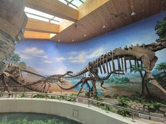 -延庆地质公园博物馆