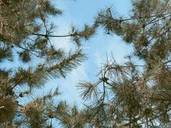 -汉长安城未央宫国家考古遗址公园