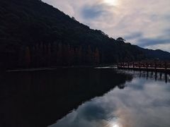 -广州市石门国家森林公园