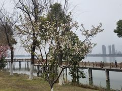 -艾溪湖湿地公园