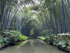 -同里国家湿地公园