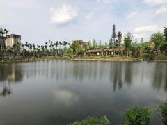 -枫香湖儿童公园