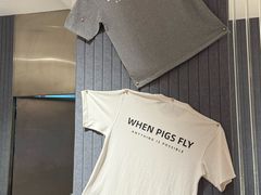 -WHEN PIGS FLY当猪飞