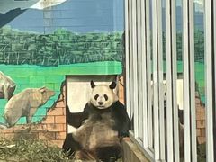 -苏州太湖国家湿地公园