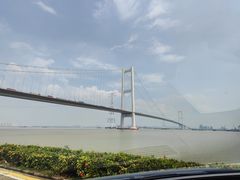 -海鸥岛河景湖大排档