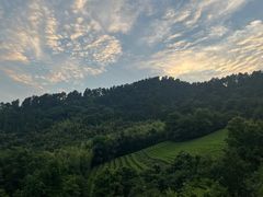-敬亭山风景名胜区