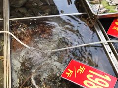 -湛江渔港·大排档(乐园路总店)