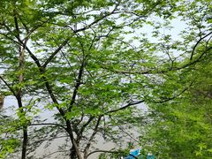 -石钟山