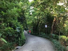 -南岗山公园