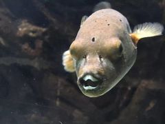 -苏州海洋馆