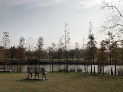 -上海长兴岛郊野公园