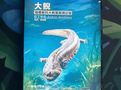 -海合安成都极地海洋公园