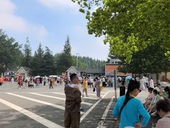 -日照海滨国家森林公园