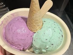 -极拉图·现制冰淇淋(大卫城店)