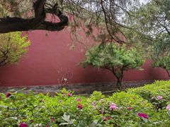 -北京市劳动人民文化宫(太庙)