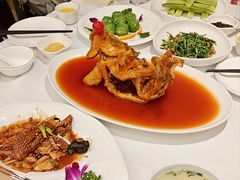 -金三杯酒家(泉城路店)