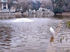 -西安市长乐公园