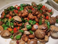 花甲青椒辣子鸡-初蓉丨遇见新川菜(亲贤街荣耀店)