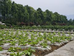 -太阳湾风景区