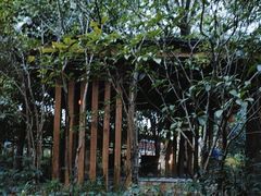 -张家港金凤凰度假村温泉