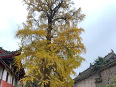 -金堂县云顶石城风景区