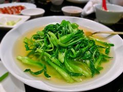 上汤鸡毛菜-上海苏宁宝丽嘉酒店·嘉府壹号中餐厅