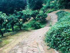 -南国桃园旅游度假区