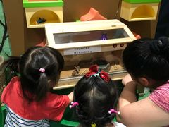 -中国宋庆龄青少年科技文化交流中心