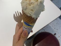 -哈根达斯(华星店)