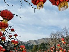 -香山公园
