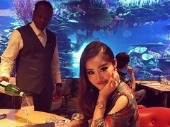 -迪拜帆船酒店海底餐厅