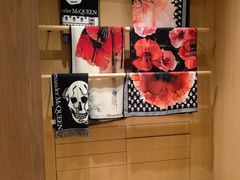 -Alexander McQueen(IAPM环贸广场店)