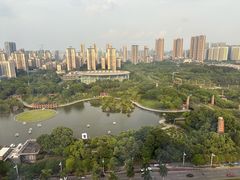 -安乐茶饭·手工素菜·高空景观餐厅(千灯湖店)