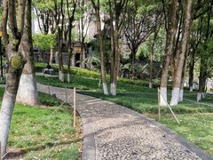 -重庆市江北嘴中央商务区中央公园