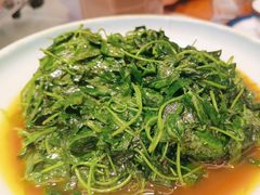 -松沪名灶·豆浆鱼头·新上海菜(飞航吾悦广场店)