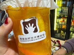 -南宫五洲植物乐园