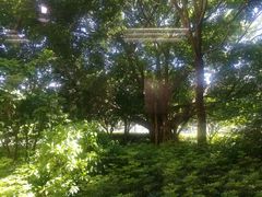 -深圳少年儿童图书馆