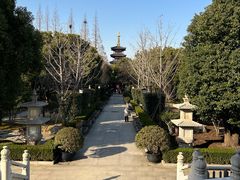 -枫桥景区