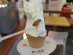 -野人先生Gelato(上海长宁龙之梦店)
