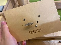 -Wooderfullife森活木趣(印象城店)
