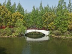 -东平国家森林公园
