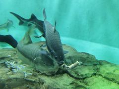 -太平洋海底世界