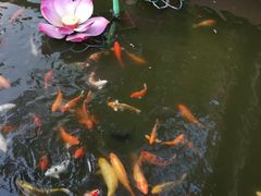 -星巴克(豫园九曲桥店)