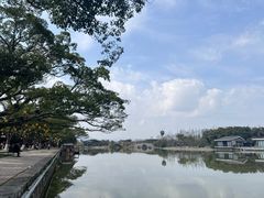 -江心屿景区